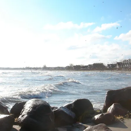 Strandlaeufer