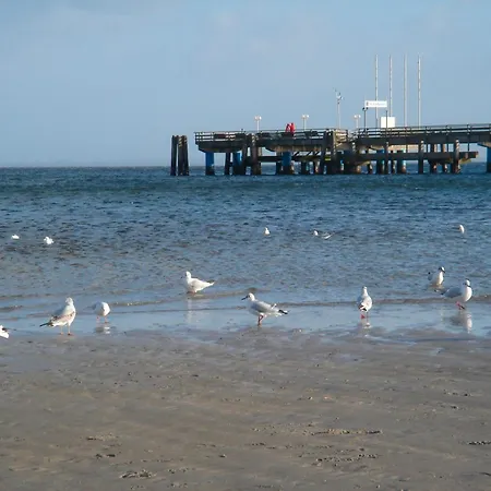Strandlaeufer Haffkrug