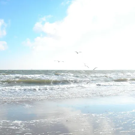 Strandlaeufer Appartement